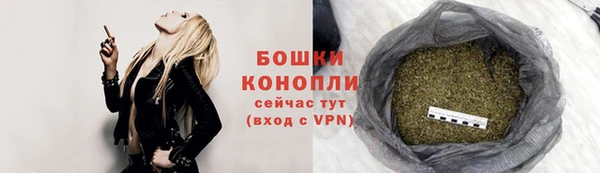 PSILOCYBIN Беломорск