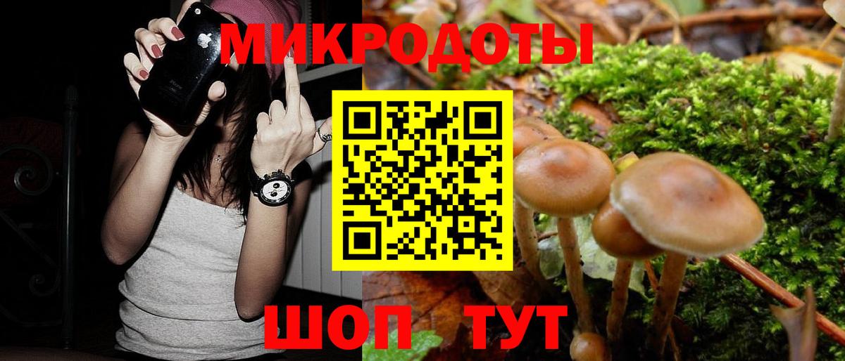 Псилоцибиновые грибы Psilocybine cubensis Бутурлиновка